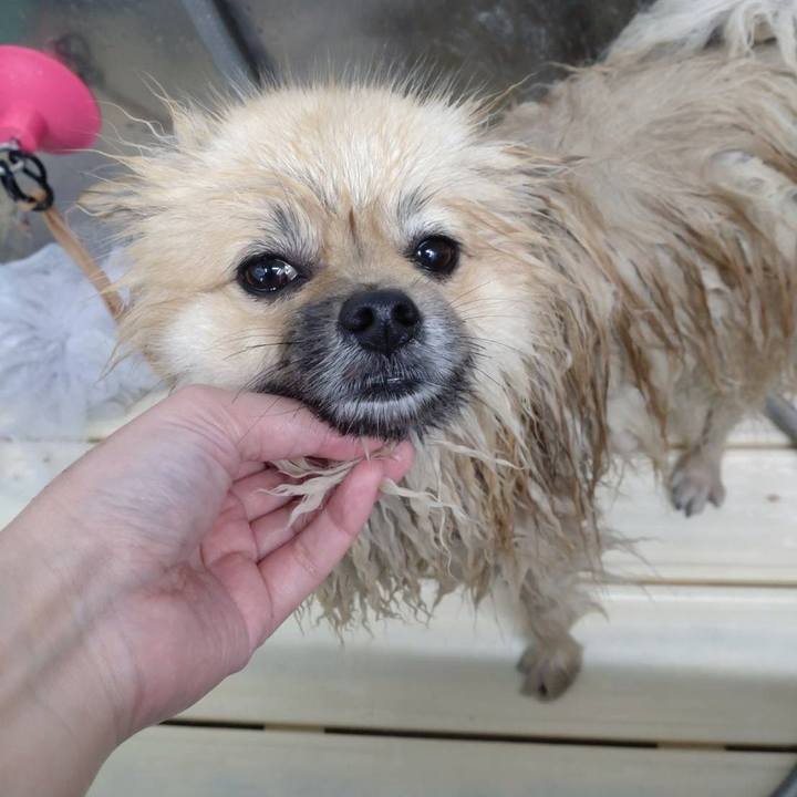 10b505d9 ea4f 494d b068 ef95cfb716eb 1651926960102