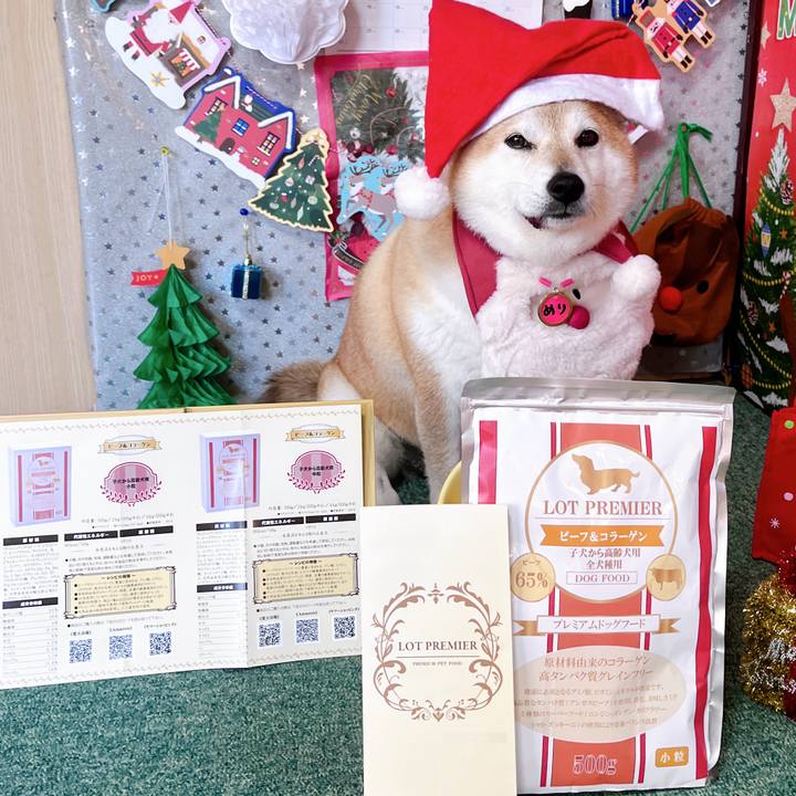 10b51562 2cb6 42a4 b678 d4c22bdf780e 1703223885719