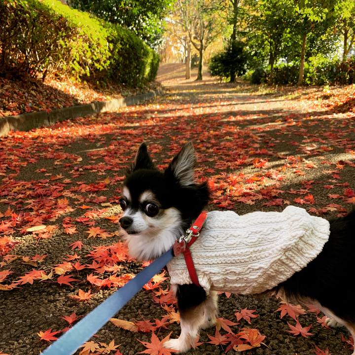 10b51fb5 7d56 4e0e 94ca 157a05d2fa5c 1765186407766