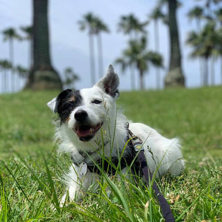 10b57ae2 d269 4218 8c71 d02d461d5398 1717204958904