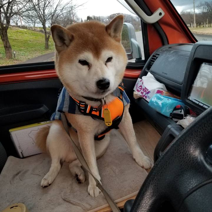 10b5dc77 03f8 46e7 bc76 124a68ff11eb 1638603697539