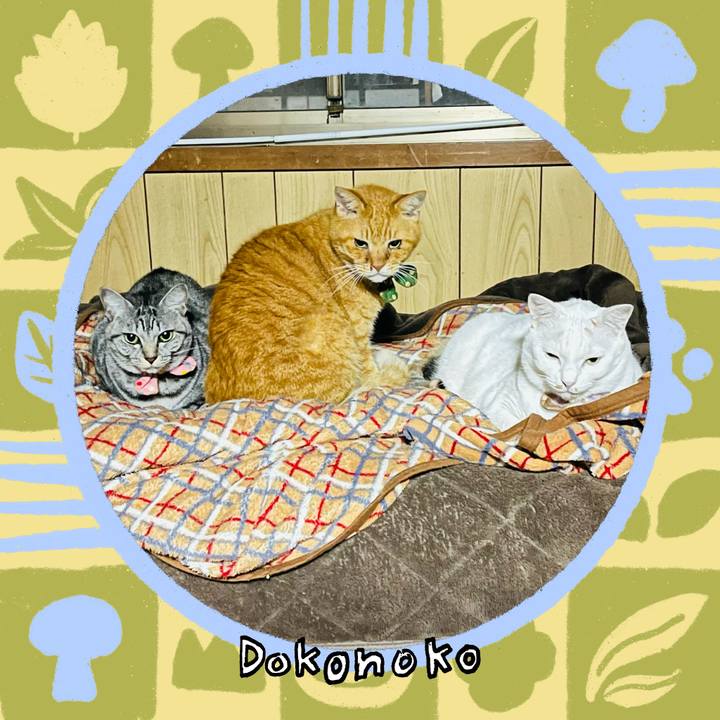 10b5df0a 3b9f 403b be11 9e5fb639ea44 1761596071043