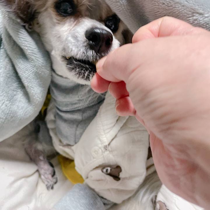 10b6009d f826 42f0 b22d 1d1af7508f59 1771067479042