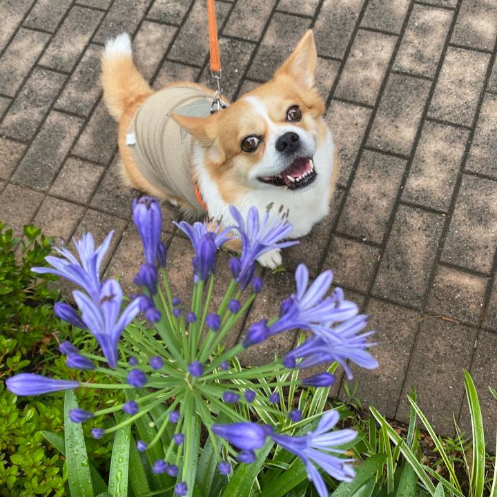 10b629eb 9ba4 4307 815c ca82bcea41d9 1718517769348