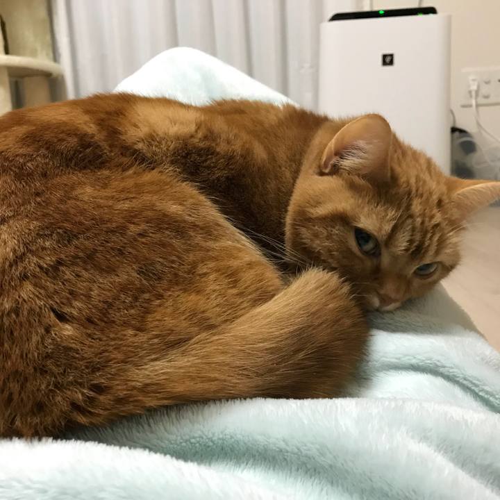 10b66097 a238 48d6 8599 9a79b2ebba3b 1514110408098