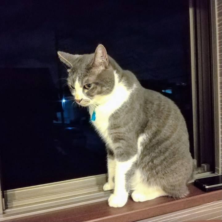 10b68cbd 7805 4690 9577 a7b9cfac74e8 1629202231071