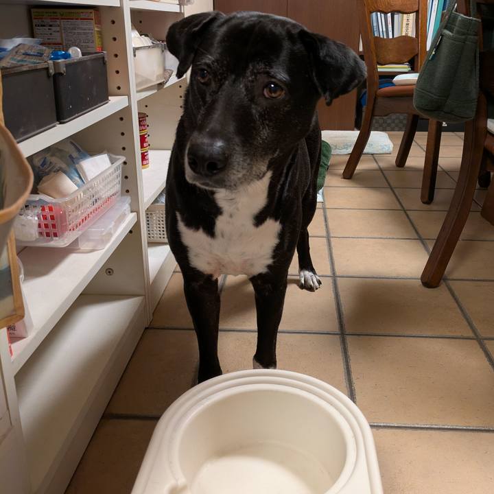 10b6a27f f677 4a79 8d1c c83b72561c00 1739702723017