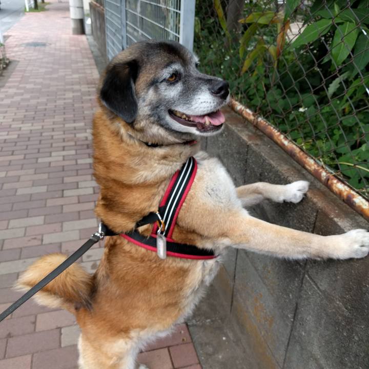 10b6a53d cc33 4823 9f43 5d76c006cb30 1728084524652