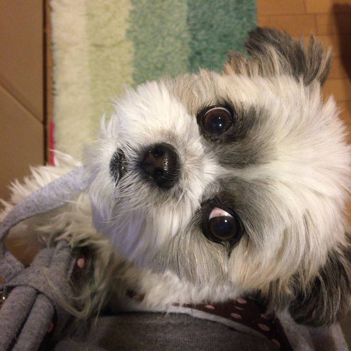 10b72179 4b65 474b b08d f05ad3c72622 1511780718556