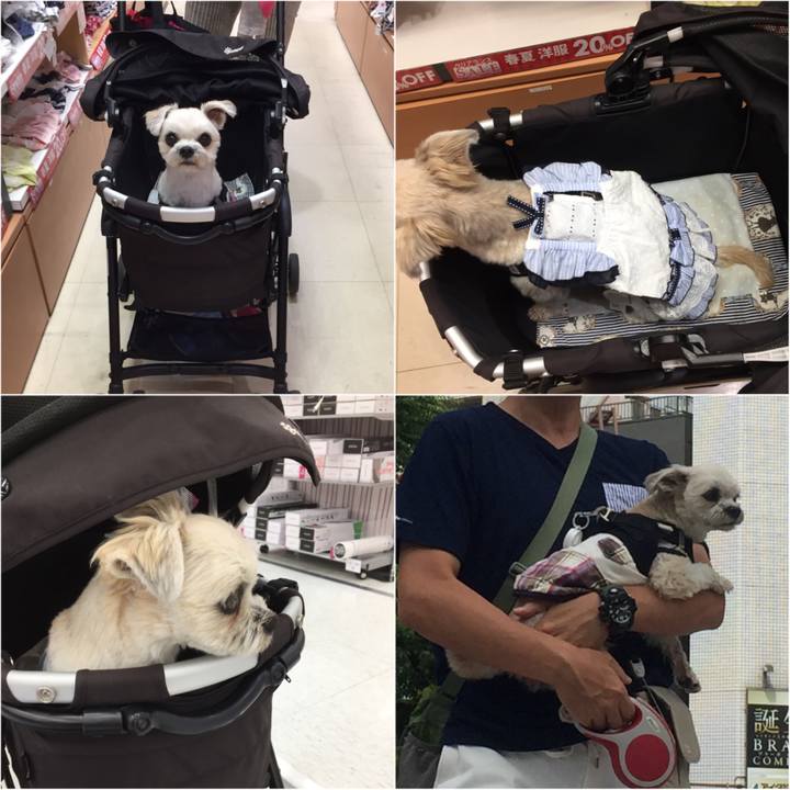 10b7339d ad52 4e59 a578 03908c2f004b 1534587918606