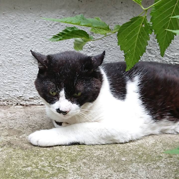 10b73e92 8b19 4cf3 811a 97942cd59d39 1658310851452