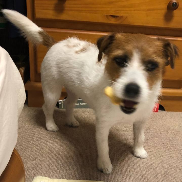 10b750fa 8ea9 4b77 8073 76b5545f0b98 1534335996075