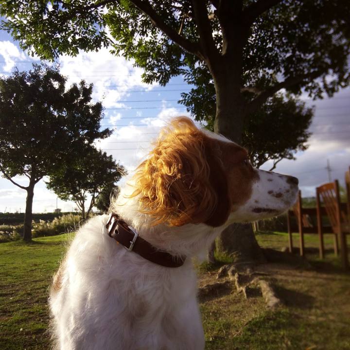 10b76756 d338 46d2 bd75 5463f68d1379 1509782617733