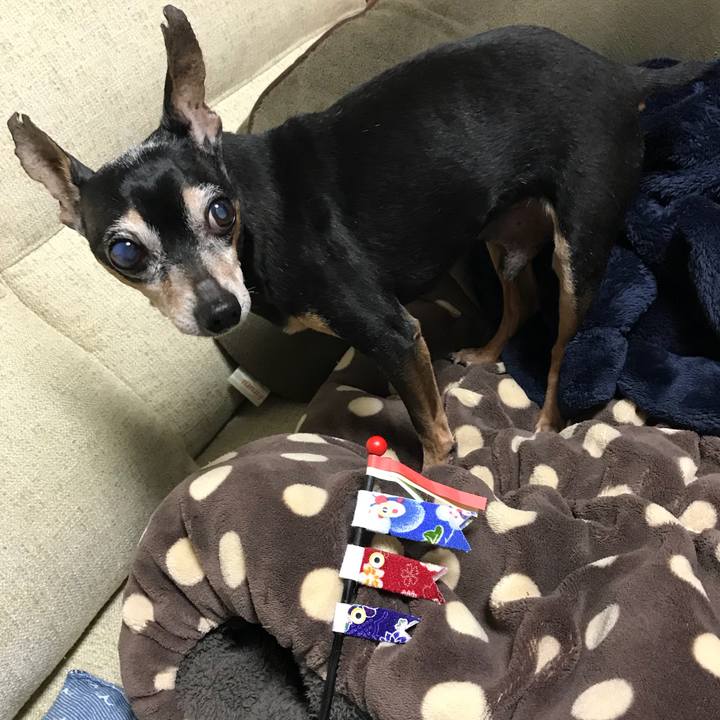 10b7aa63 3dc6 4e26 ae99 99cd54210b92 1525530010085