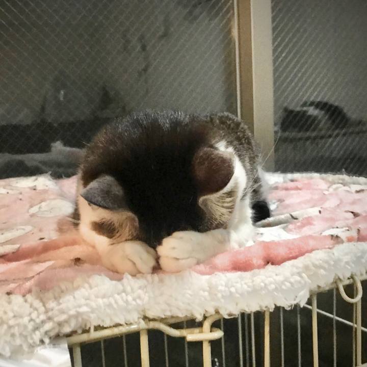 10b7bd10 4c5b 462d a78b fecba30832ee 1666019665263