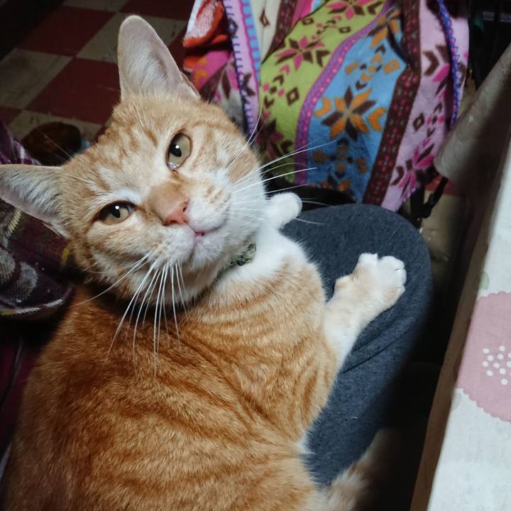 10b7cece b7f6 4f23 81dd c0e0743b71a1 1584821853753