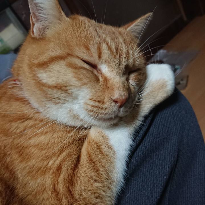 10b7e074 fa0a 4e31 a91b f872bba68ded 1606860038560