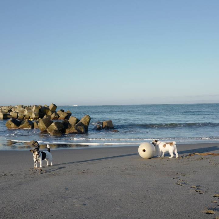 10b890f2 ed18 41e2 aa86 eaa70020af7a 1510545887580