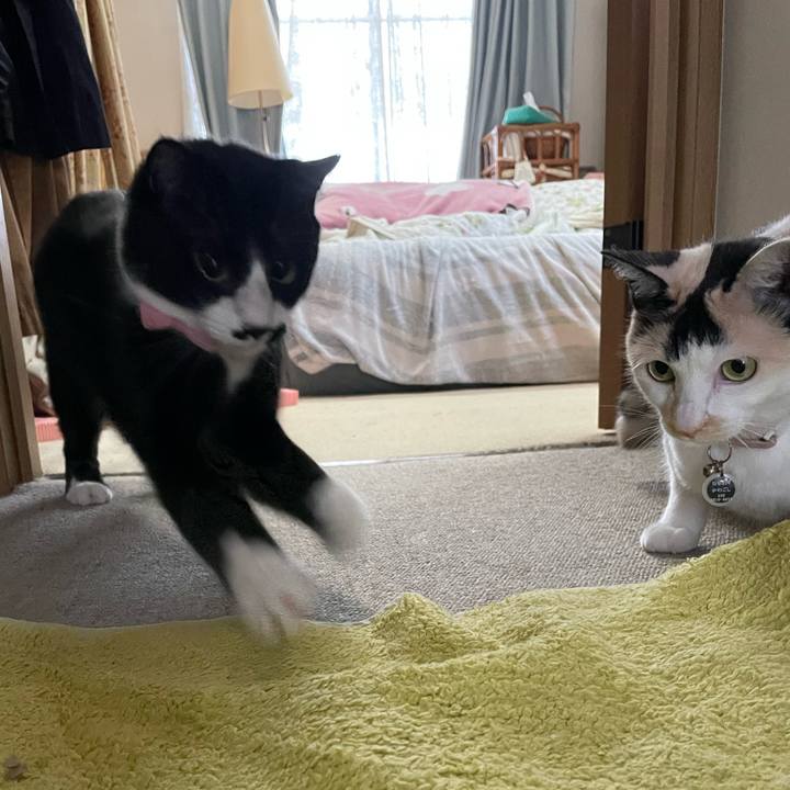 10b8a555 06e3 4c8a afbd 5031727a77a3 1746321874931