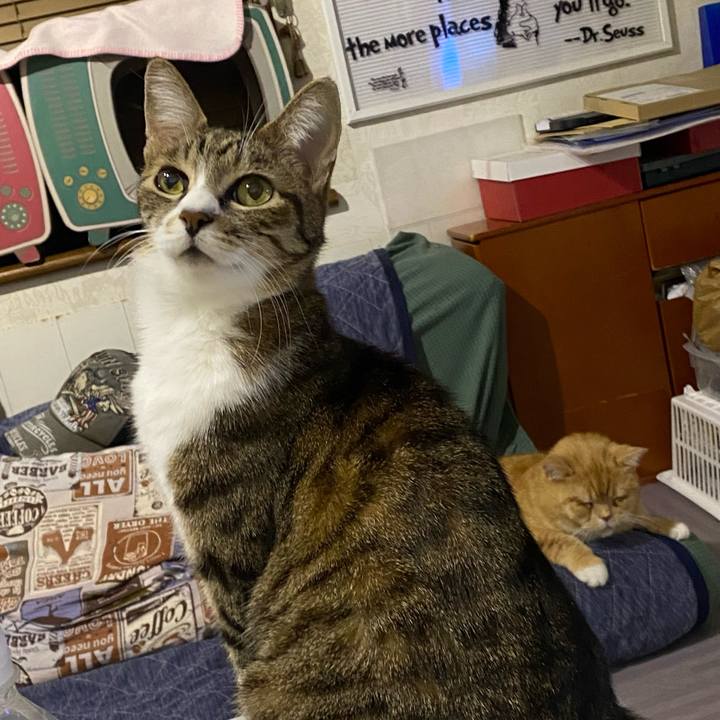 10b8d1d1 98af 46fc ba5d 54cbe7dbc1fa 1643807906864