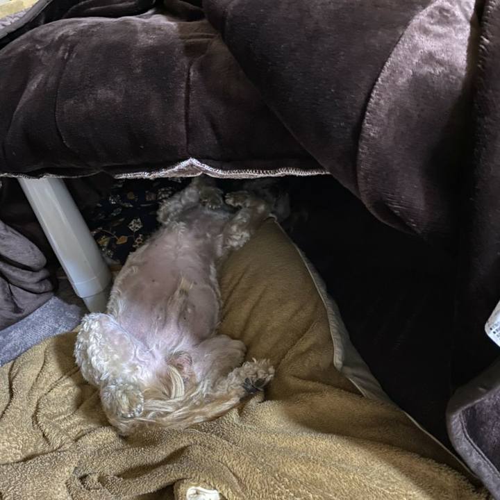 10b8d7b7 ef1e 4b43 b965 3488e3ec4c5b 1607611846127