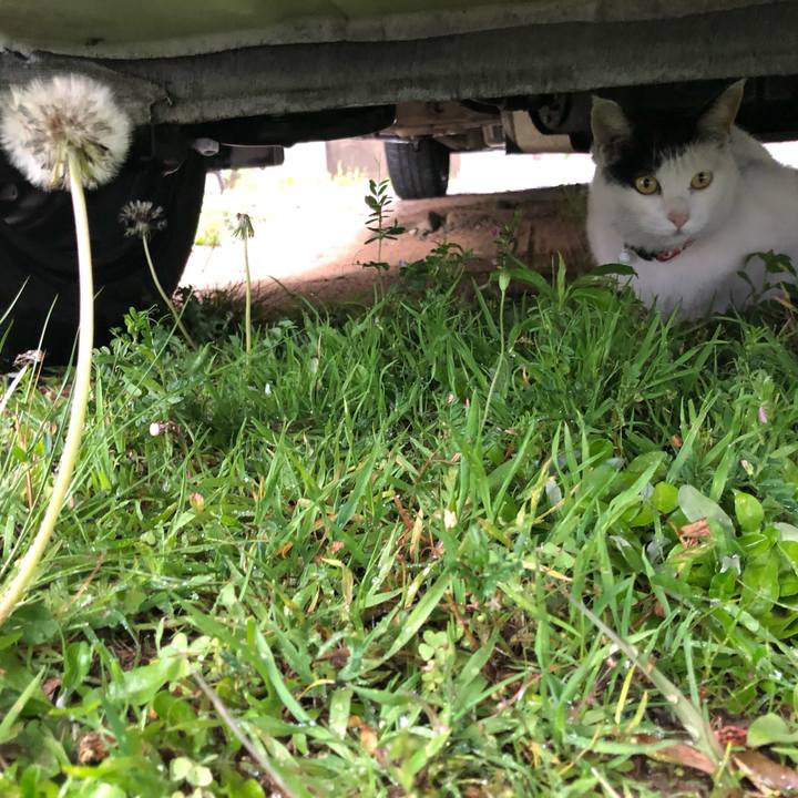 10b8fa8a f958 4404 8903 d0a0deb80527 1619606590545