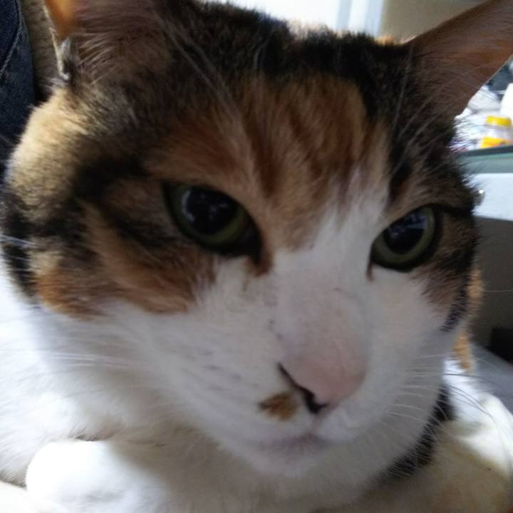 10b9066f 2d53 452e 9928 cf82663080e5 1550699423093