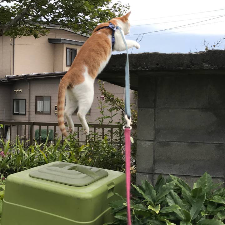 10b90e39 3f81 4718 b8e4 3c5339b33c7f 1508038026273