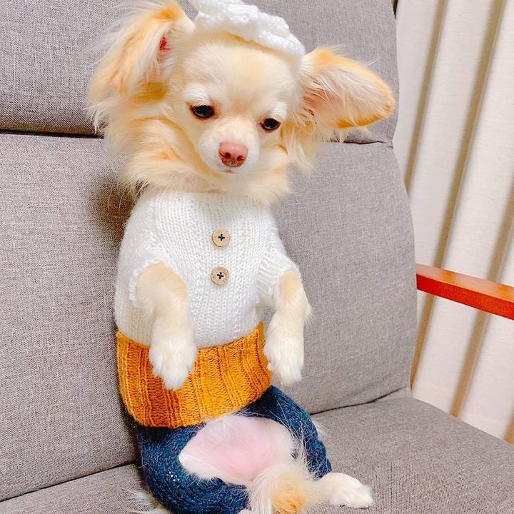 10b9541e d080 4e88 b15d 42e43723d555 1626663997618