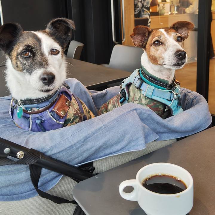 10b955ae eaef 4628 b837 e746530ef53e 1759572712319