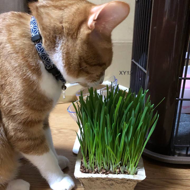 10b9738e ea74 4436 9eff 1162a21deb26 1556983931543