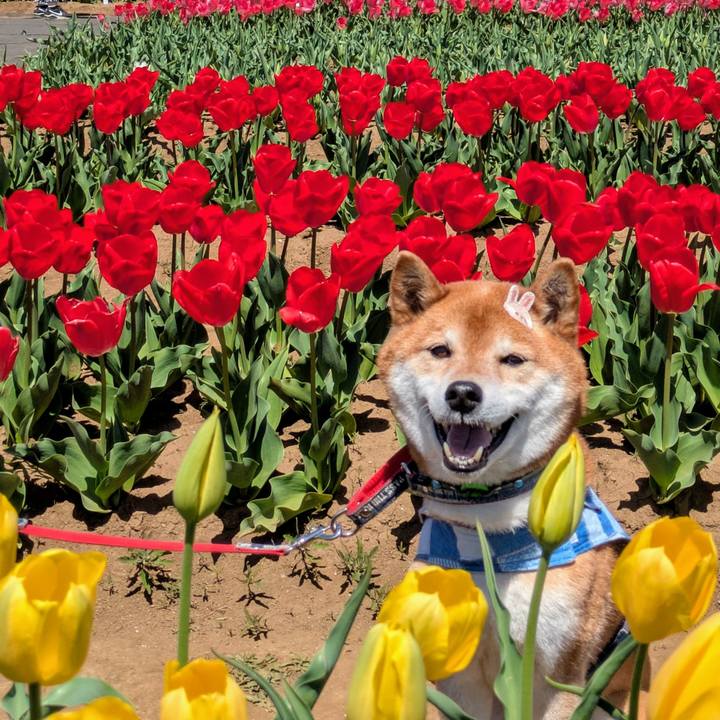 10b9763b 2f2f 4bc2 b2d0 2373a7cb23e2 1744198932872