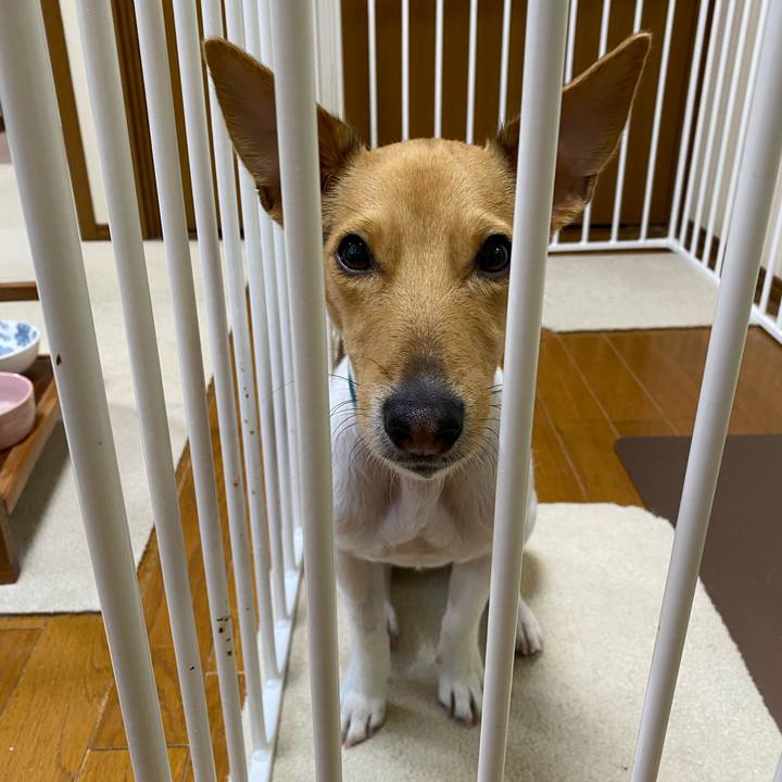 10b9c38b e502 46bb b250 c392ffc11cbd 1768775000018