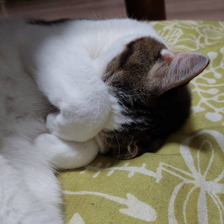 10b9d408 d801 4bb8 af37 970c9d765cb8 1686739978334