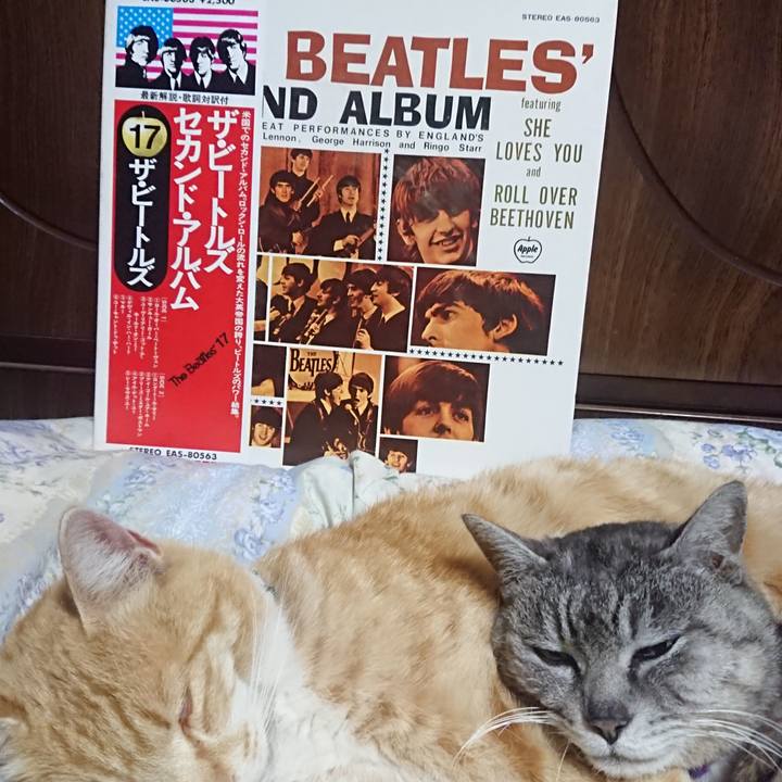 10b9fbba 032e 47f1 9cf9 9880be1f9504 1587989974701