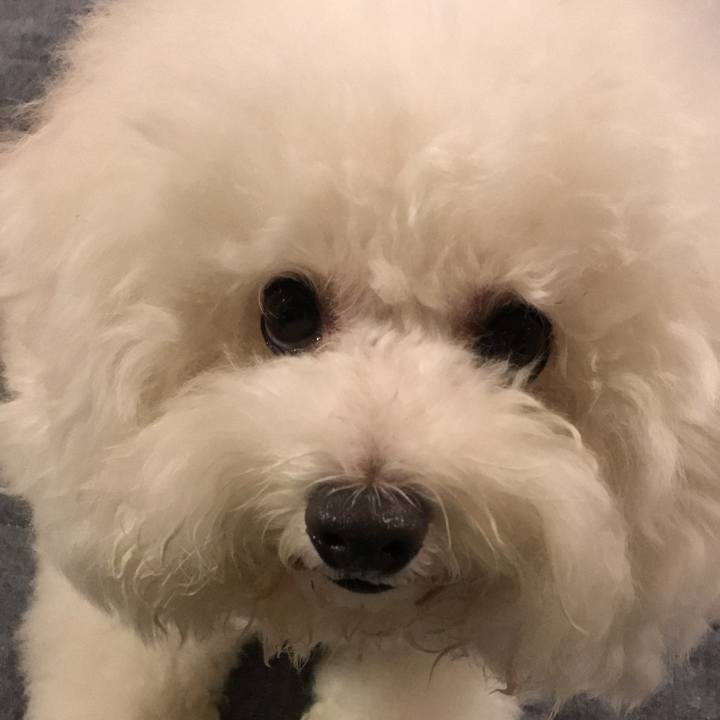 10ba00d4 59dd 420f 8893 e21a82e3444e 1534587021612