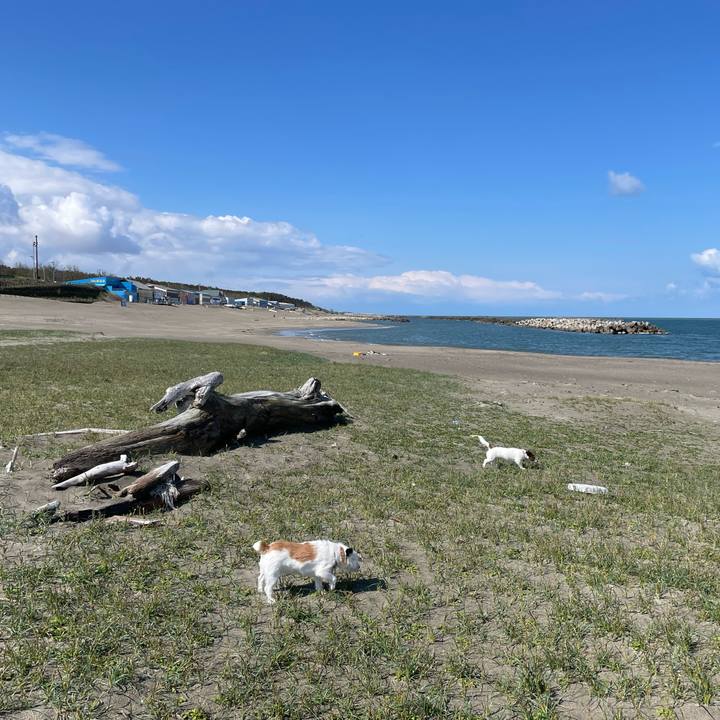 10ba12a8 800a 44f8 a36e c59e0f906564 1651540177678