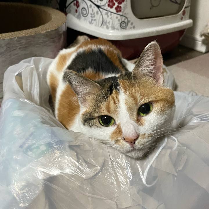 10ba3e8a 1e17 4a01 934b b5a8311c8a80 1714399890315