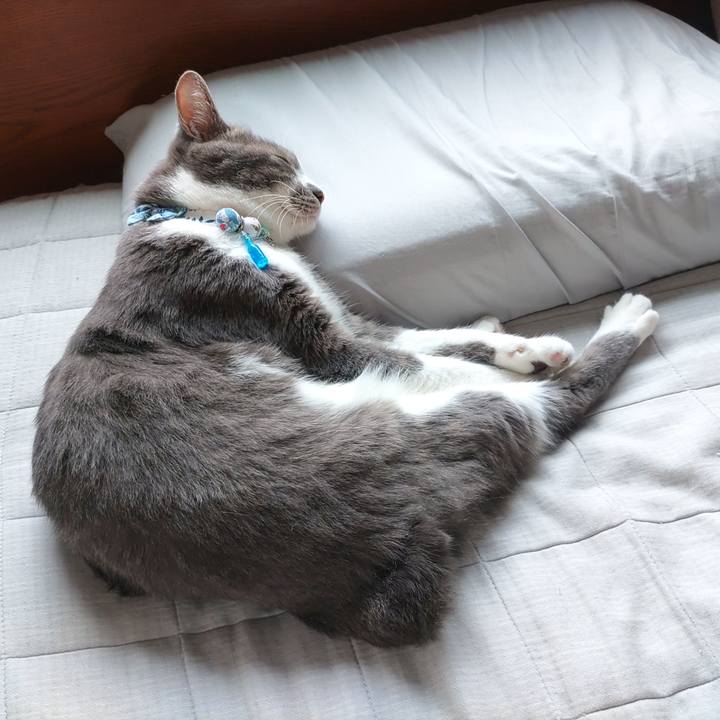 10baa9bd b8da 4640 9166 73e912e3a8ba 1665888458927