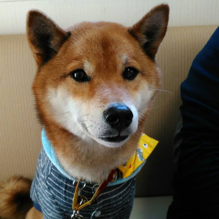 10bab349 9e62 4590 ac91 966a67edbd6b 1518925942874