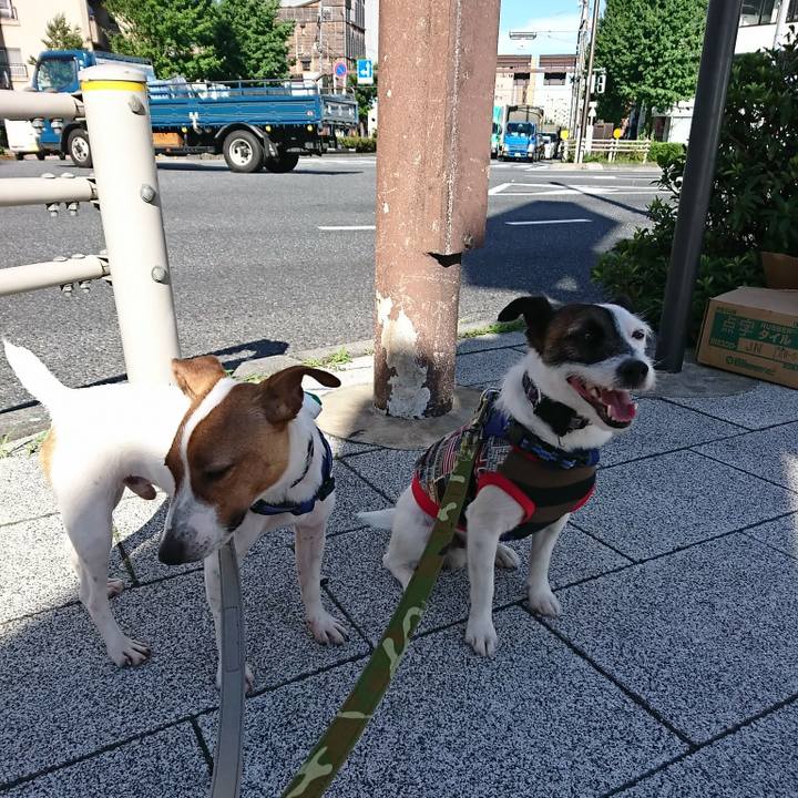 10bac643 559e 40b1 832c b79e1e5e7a64 1530224242007