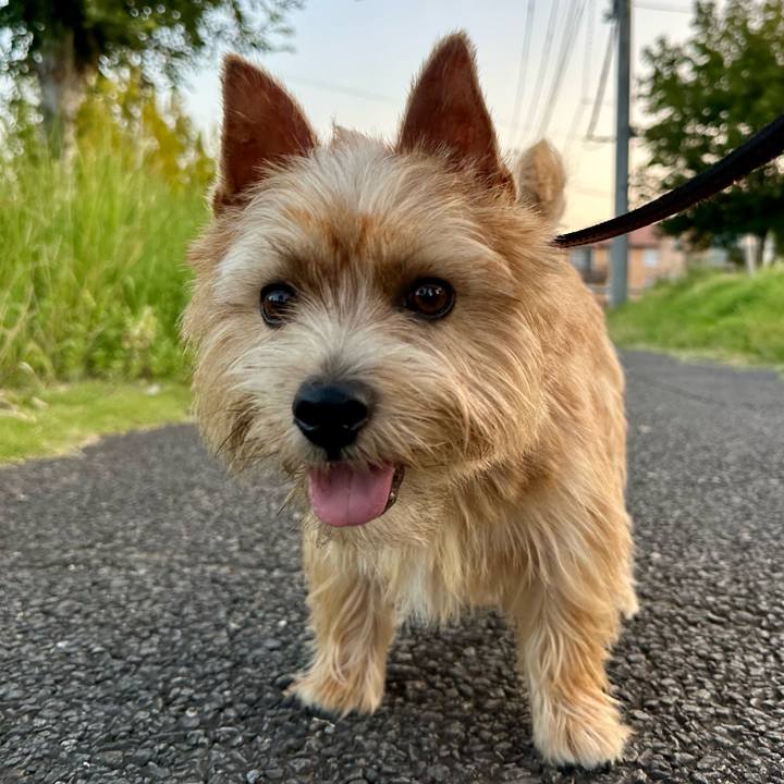 10baca2b 474b 45bb adf2 5df78aae7773 1756777656749