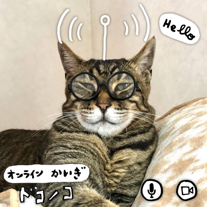 10bb0b0c 2ac2 45dd 81fc 65ed17f9cc26 1593766253410