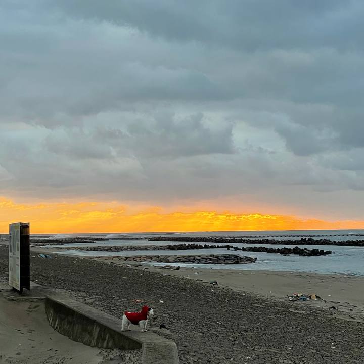 10bb4a19 f2e1 4f40 9149 7223667a1c80 1613725028783