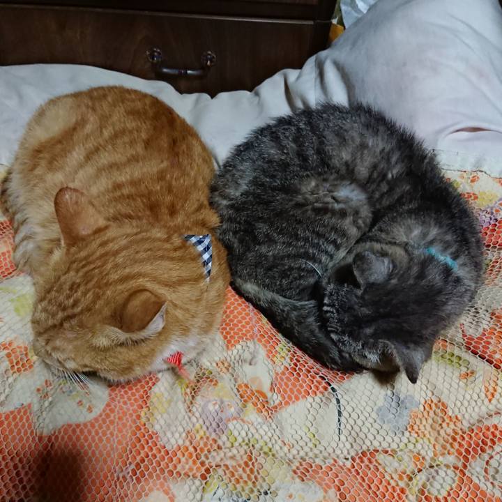 10bb65a5 8caf 406c b102 4cf87c41b9ff 1568899291490