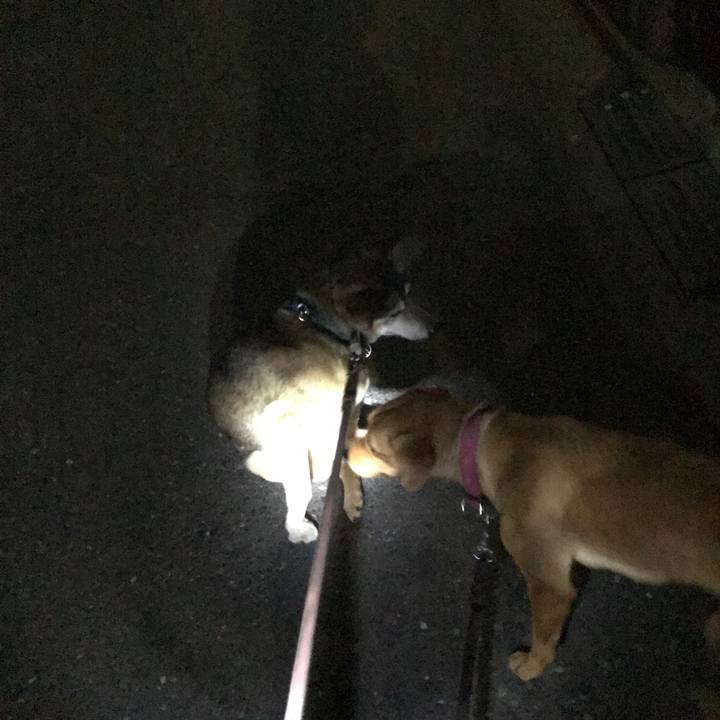 10bb662e b186 4cb4 80c6 cdecb04bfb79 1523637194842