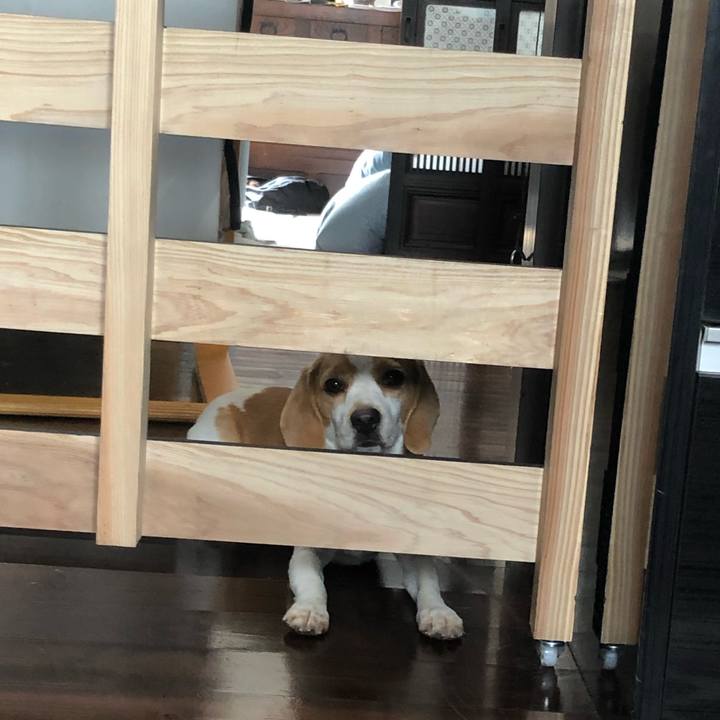 10bb6ae7 575b 4468 88f3 40047466a5ef 1590495093526