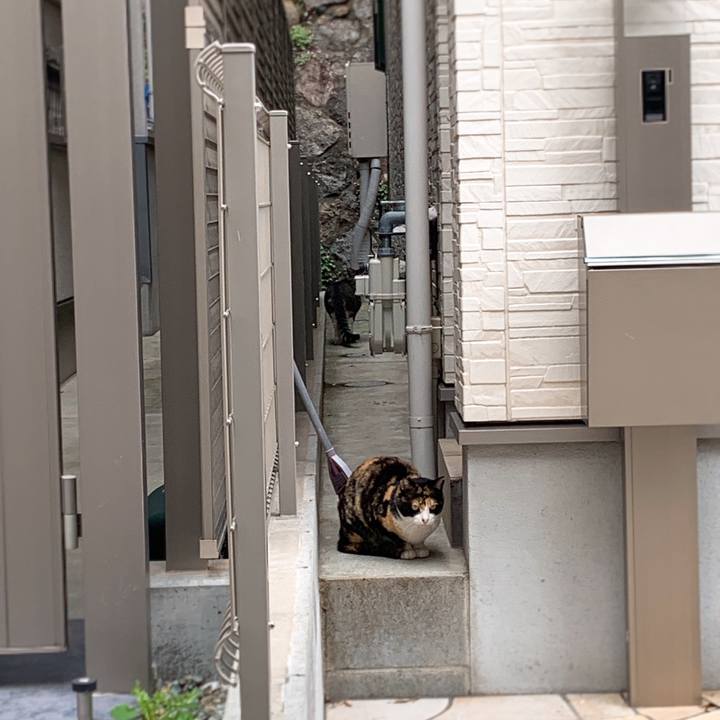 10bb8066 abad 433e 8be2 d7f5f3a65d4e 1556337007849