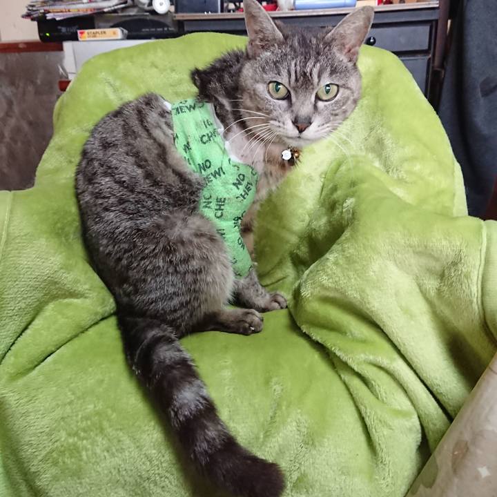 10bba91d 1eda 4787 ad5d a37270f5f952 1587613568990