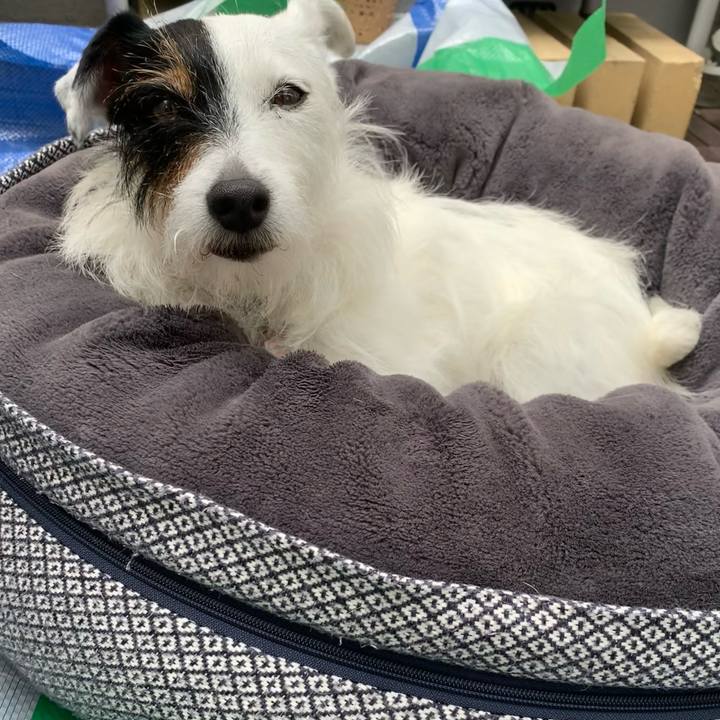 10bbe59a ad26 431e a690 0904ad19274c 1655601725609